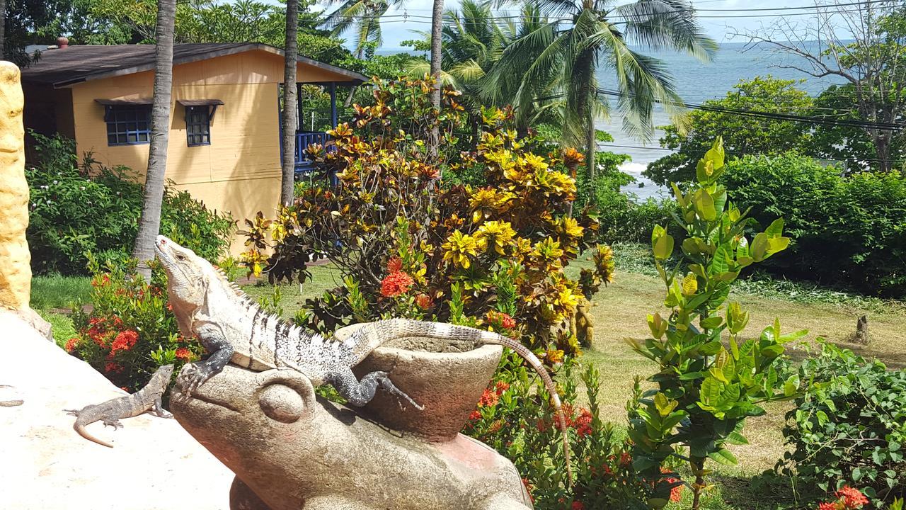 Hotel Los Mangos Montezuma Exteriör bild